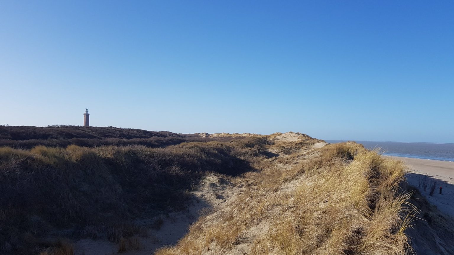 Duinen bij de vuurtoren met zicht op zee